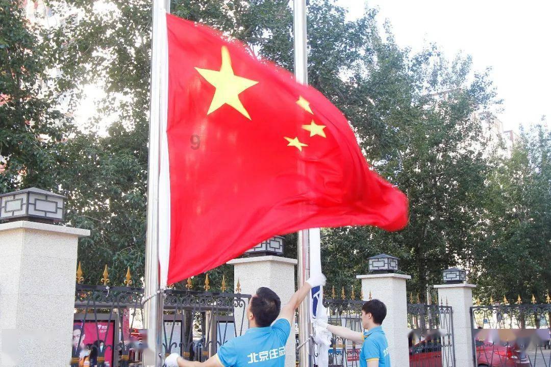 沙皮狗逃离