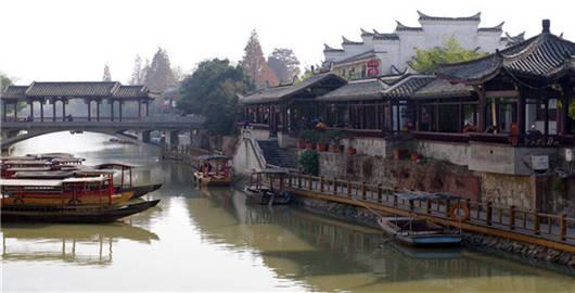 虎胆熊威3